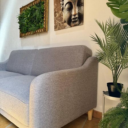 Casa Sao Sebastiao Casas Bem Haja Konuk evi São Miguel de Acha Dış mekan fotoğraf